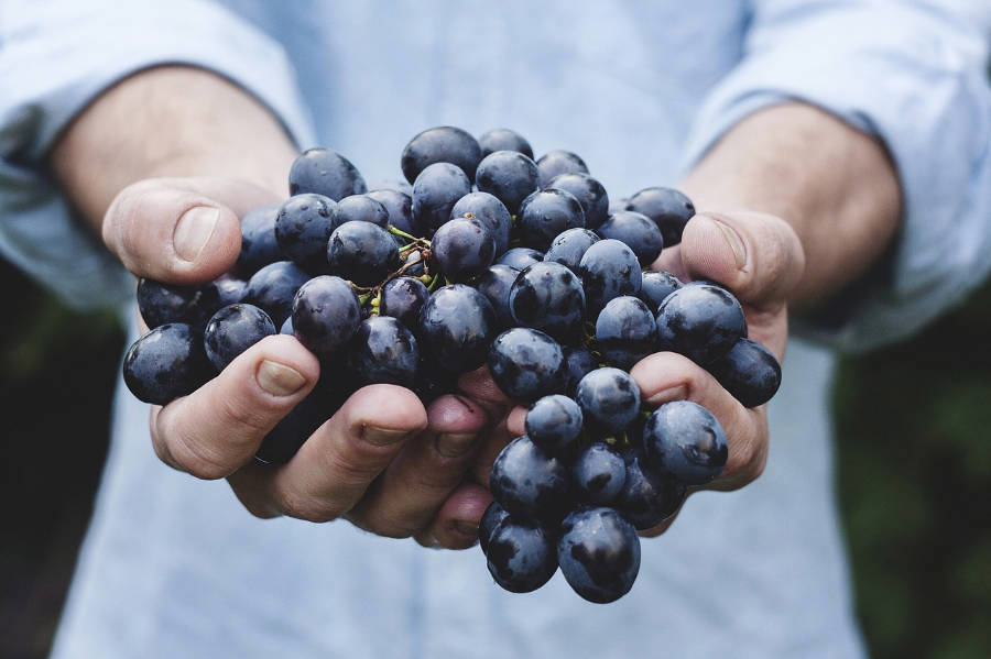 Man holding grapes.