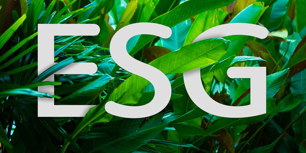 pistor28_Getty Images_ESG