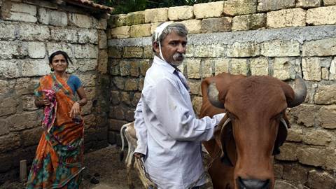 tharoor95_Hindustan Times_Getty Images_cow vigilantes