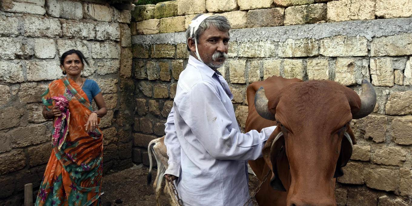 India’s Cow Vigilantes By Shashi Tharoor - Project Syndicate