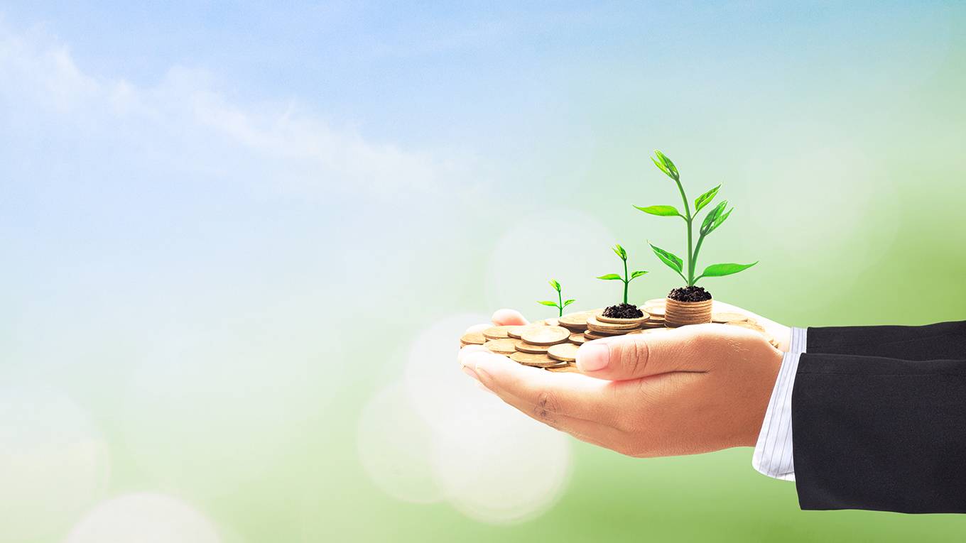 buiter4_Boonyachoat Getty Images_businessmangrowthmoneyplant