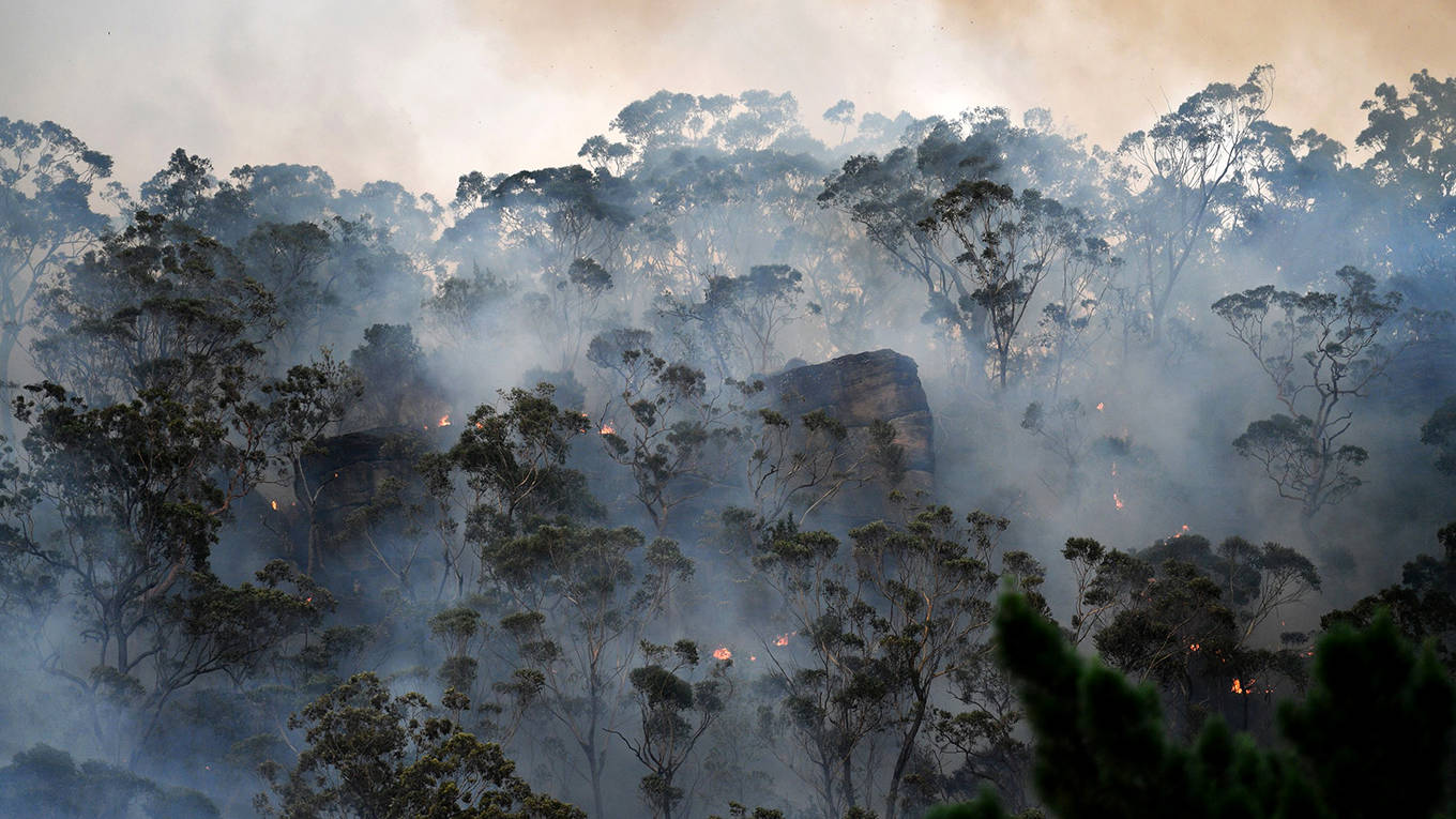 Tooze_Podcast_Website