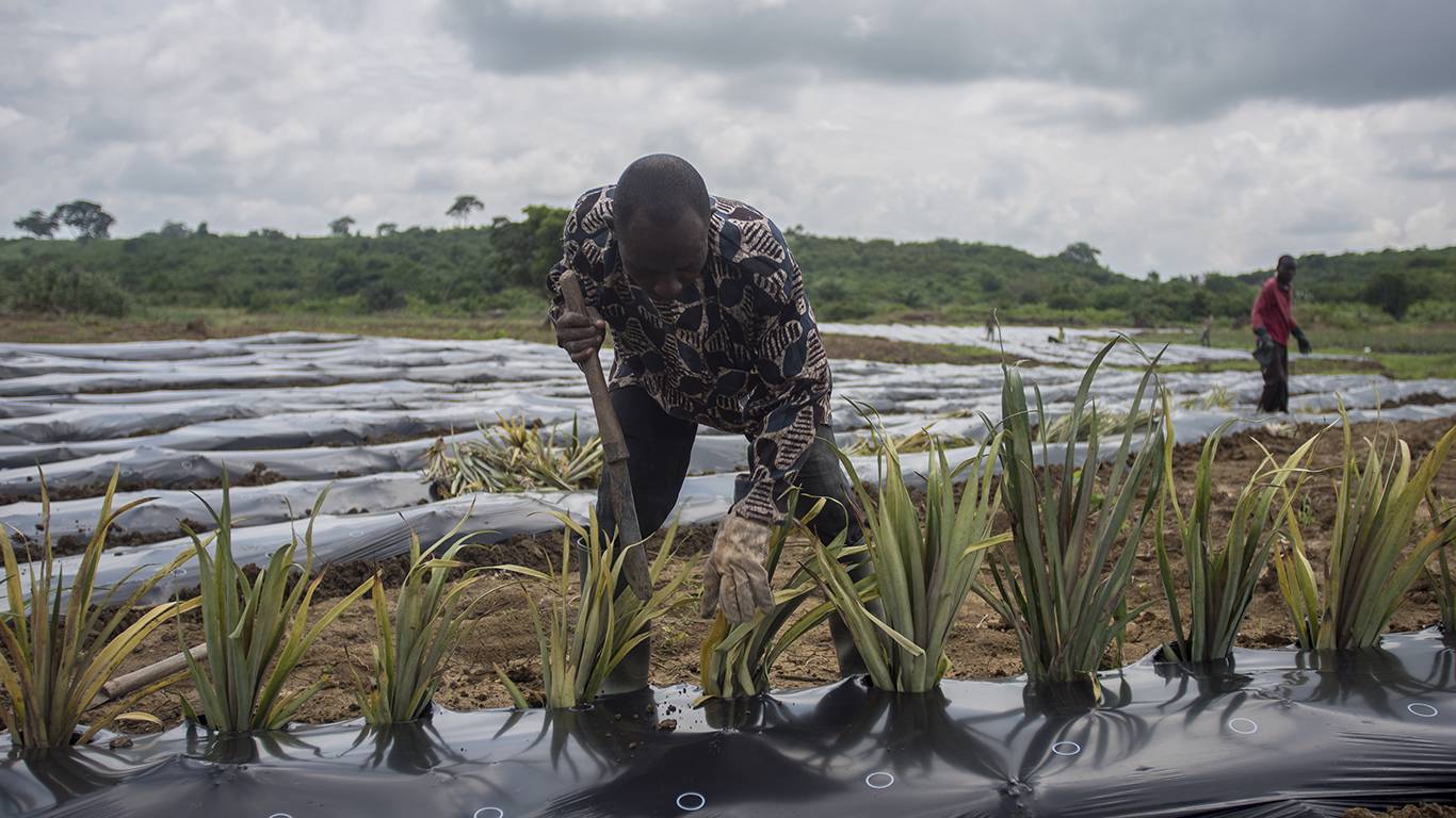 boa1_CRISTINA ALDEHUELAAFP via Getty Images_small farm ghana