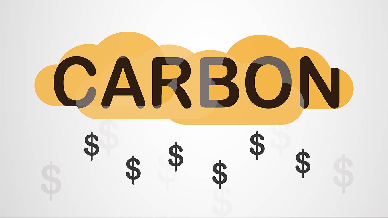 singer182_SCI_InDy_carbonpricing