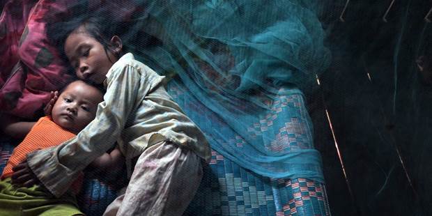 WHO makes progress battling drug resistant malaria in Cambodia