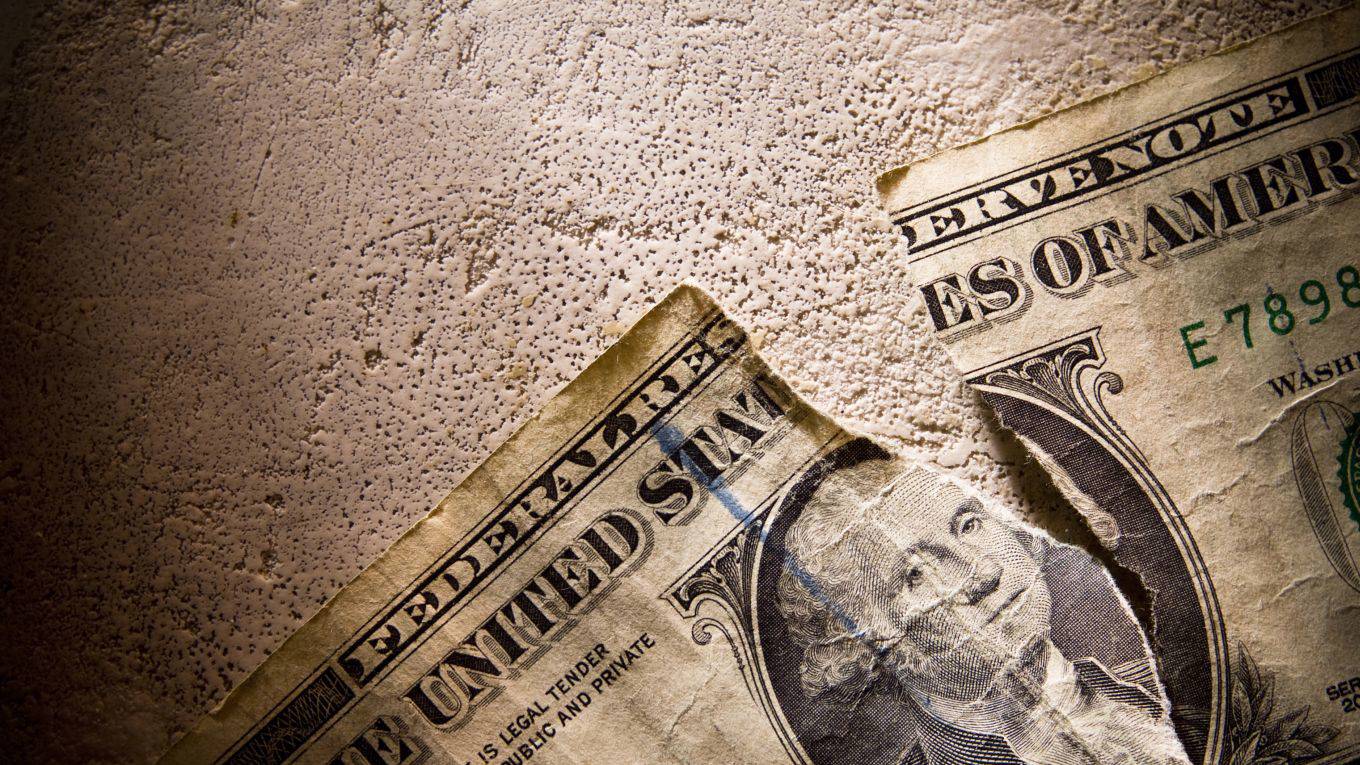 roach120_getty images_dollar