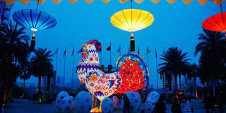 Year of rooster in Chengdu China