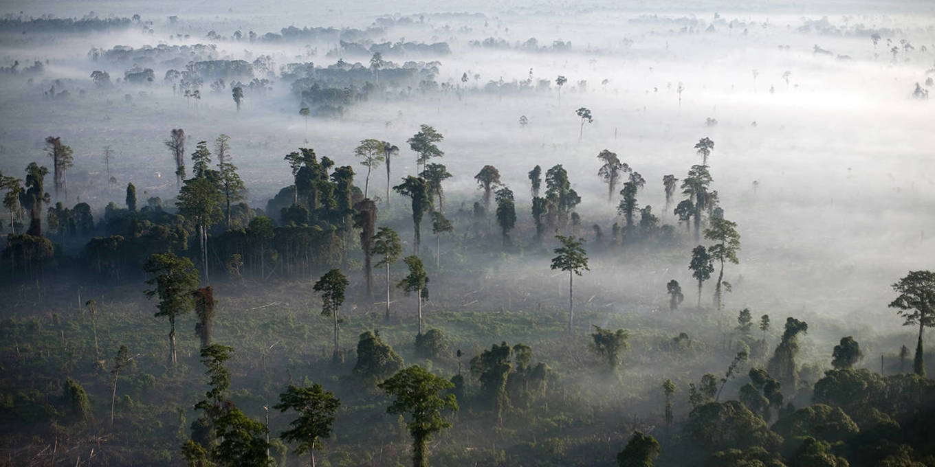 How (Not) to Conserve Tropical Forests by Bård Harstad How (Not) to Conserve Tropical Forests by Bård Harstad