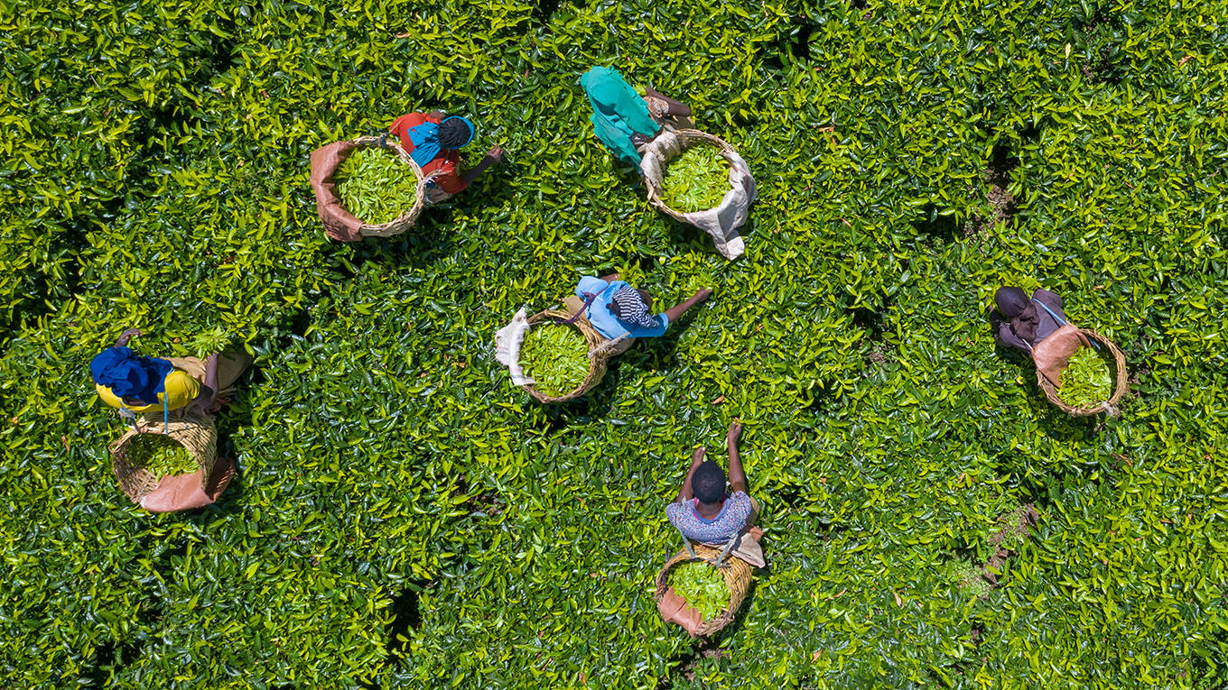 blair26_Eric LafforgueArt in All of UsCorbis via Getty Images_ethiopia farmers