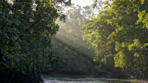 cop30 studio session hero