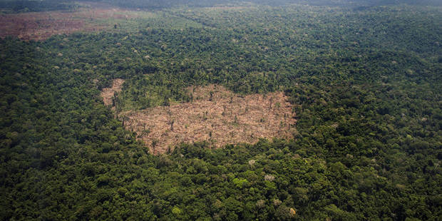 frizo2_RAPHAEL ALVESAFP via Getty Images_deforestation amazon