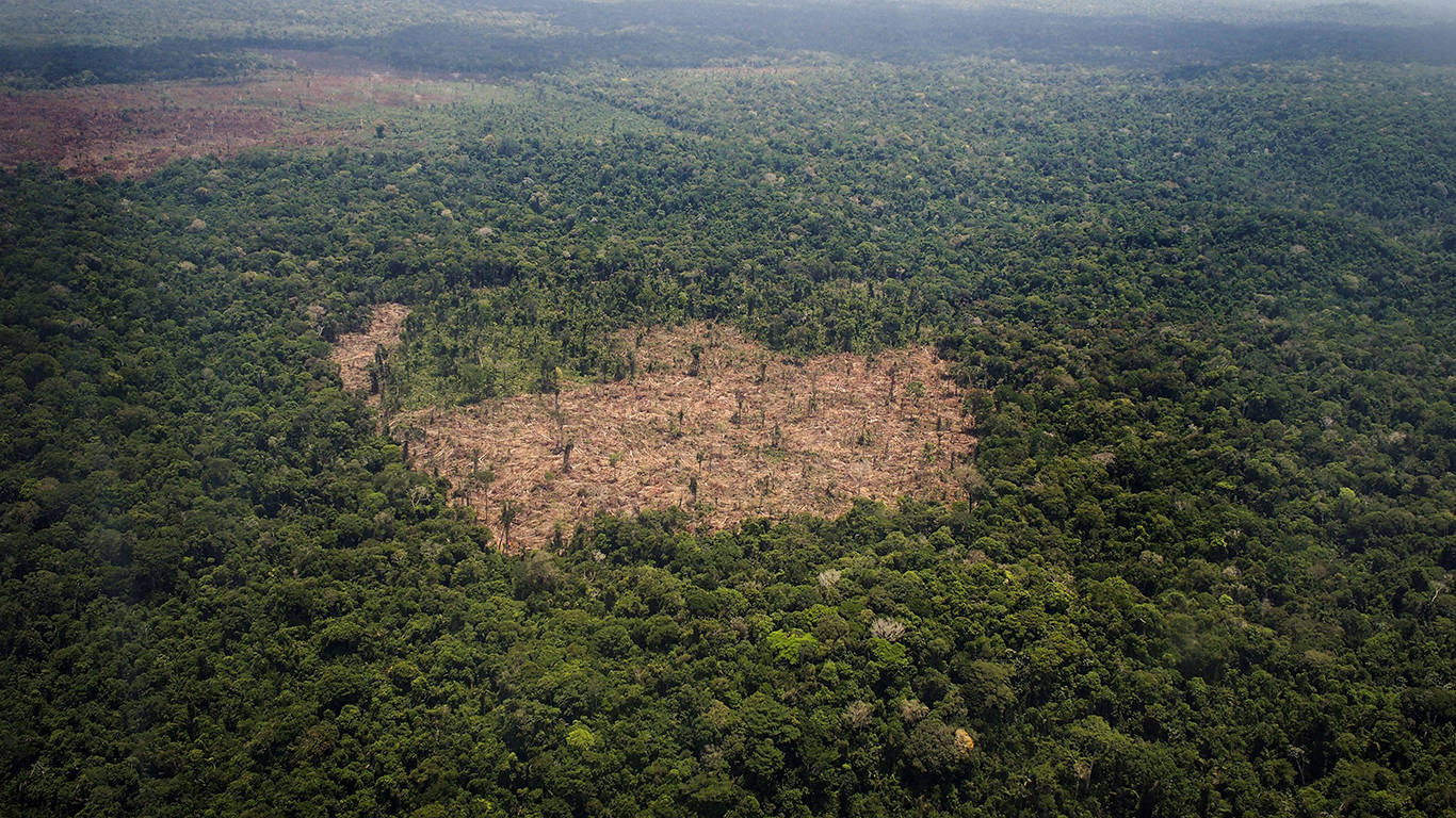 frizo2_RAPHAEL ALVESAFP via Getty Images_deforestation amazon