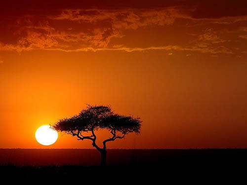 Kenya Sunset