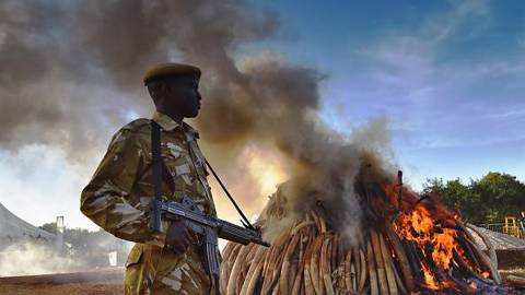 burning ivory