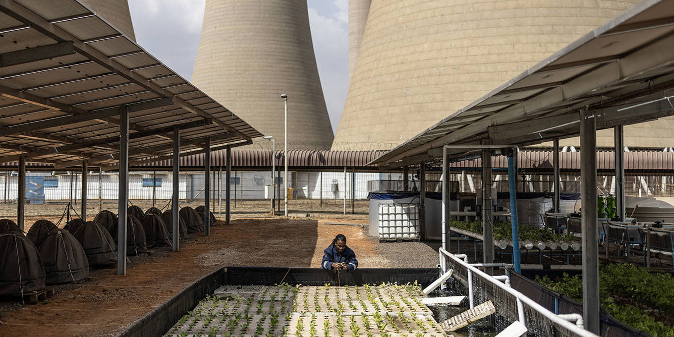 project-syndicate.org - Ellen Davies - How Africa Can Meet Its Green Industrialization Imperative