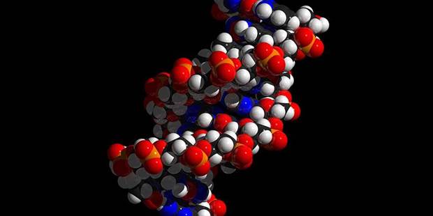 DNA double-helix with color-coded nucleotides, phosphates and sugar