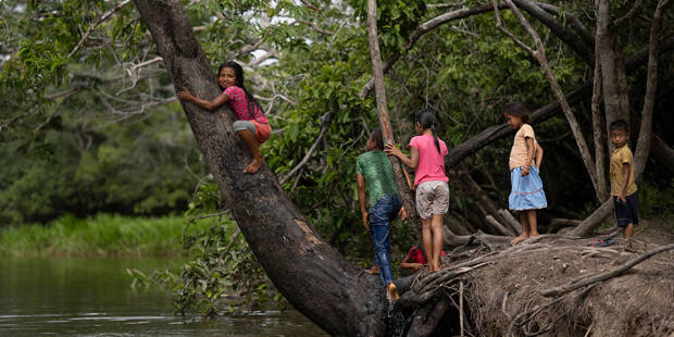 mazzucato76_PEDRO PARDOAFP via Getty Images_rainforestindigenous