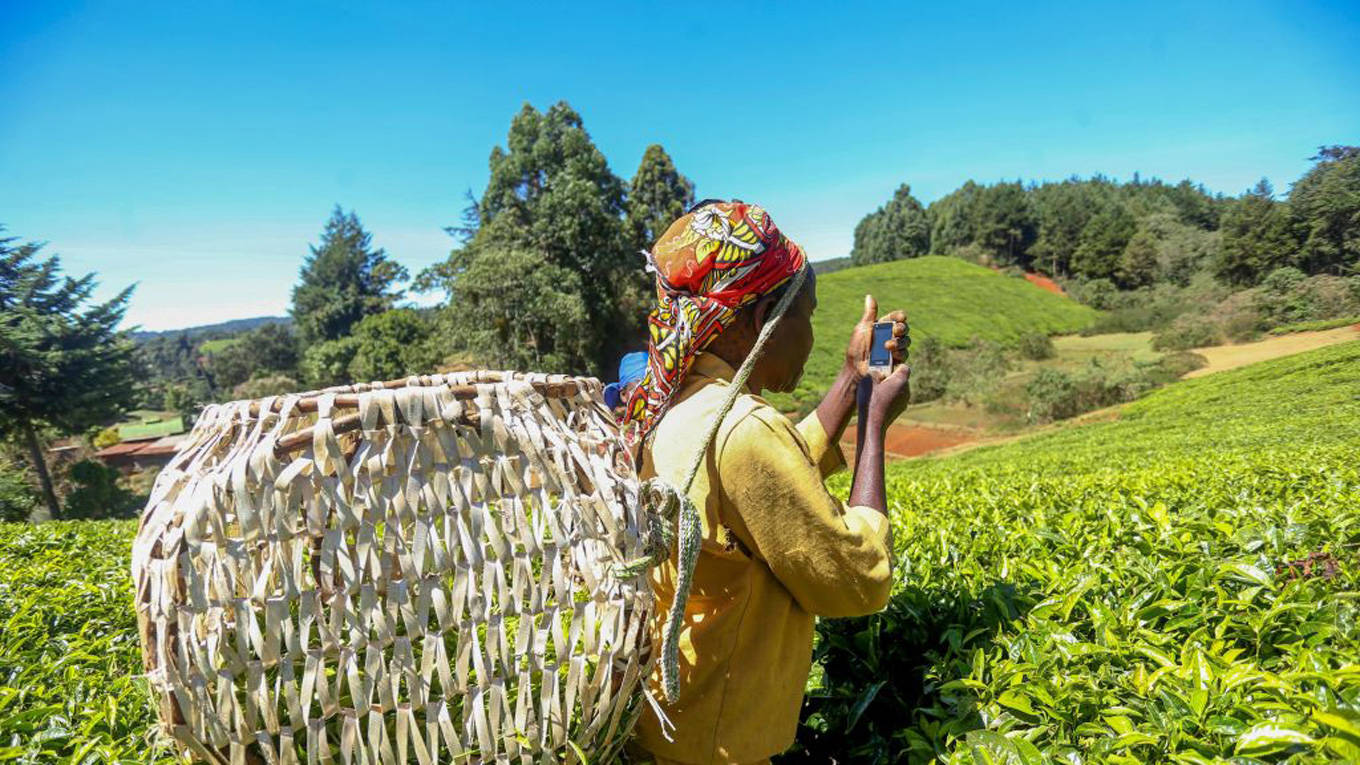africa farmer technology
