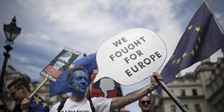 brexit protestors european union