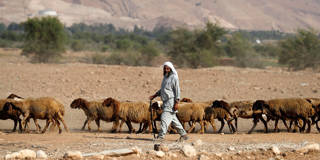 benami186_ AHMAD GHARABLIAFP via Getty Images_bedouin