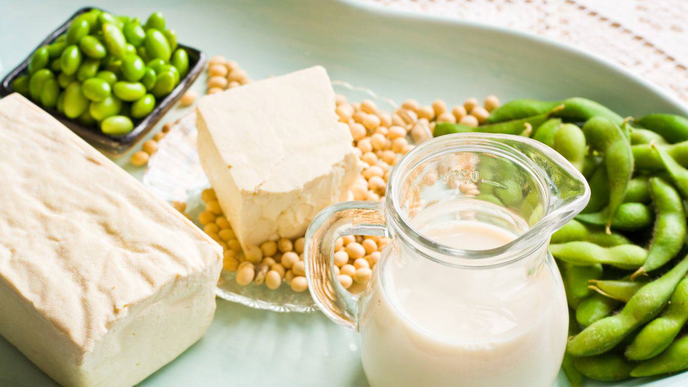 chui4_Diane Labombarbe_getty images_soy food