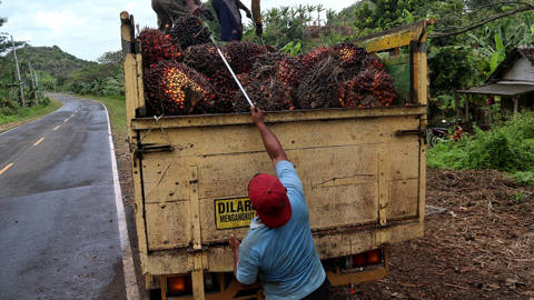 jmccarthy2_Aman RochmanNurPhoto via Getty Images_indonesiapalmoil