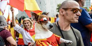 A man carries a dog with Spanish football shirt and glasses