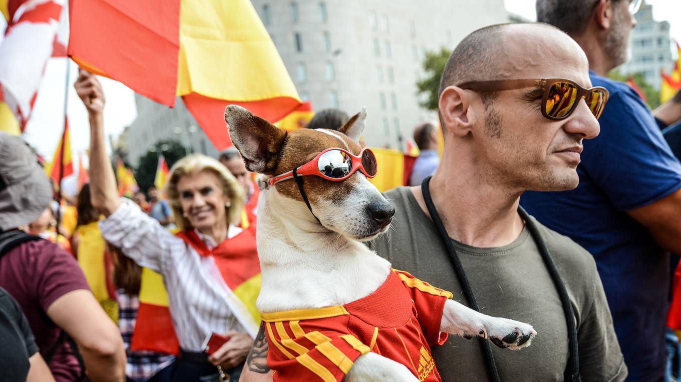A man carries a dog with Spanish football shirt and glasses