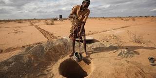 A Somalian refugee helps to dig a latrine on the outskirts of the IFO refugee camp