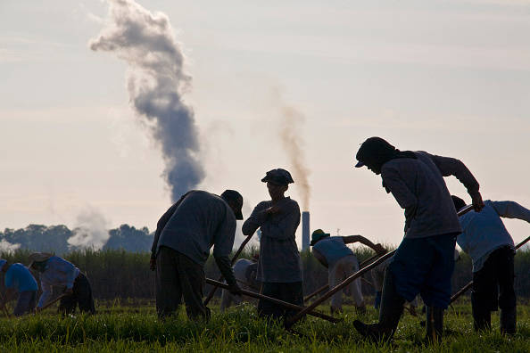 Farmers in a field