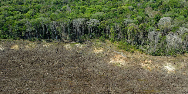 monsalve2_FLORIAN PLAUCHEURAFP via Getty Images_deforestation cerrado