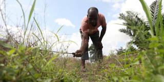 lopes11_KOLA SULAIMONAFP via Getty Images_smallholder farmers africa climate change