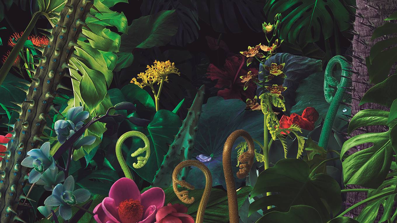amhernandez1_natureillustration