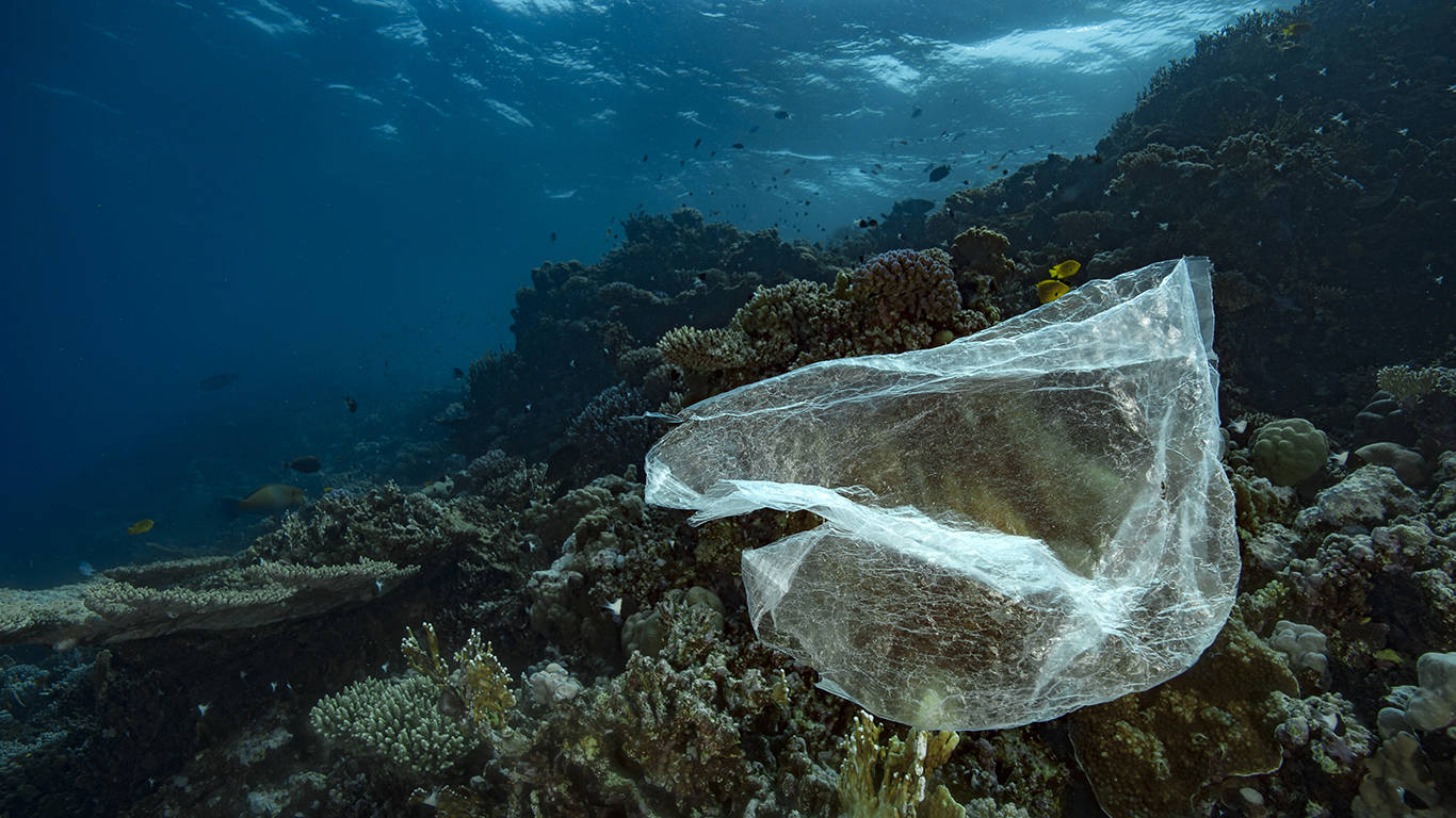 rbleischwitz3_Alexis RosenfeldGetty Images_marine plastic pollution