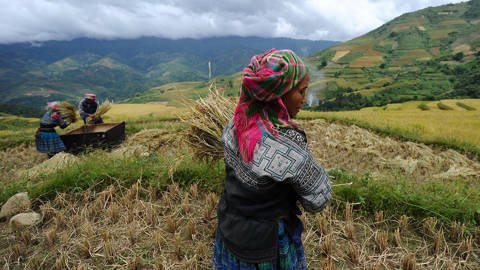 lemmon1_HOANG DINH NAMAFP via Getty Images_women farmers