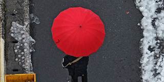 red umbrella in japan