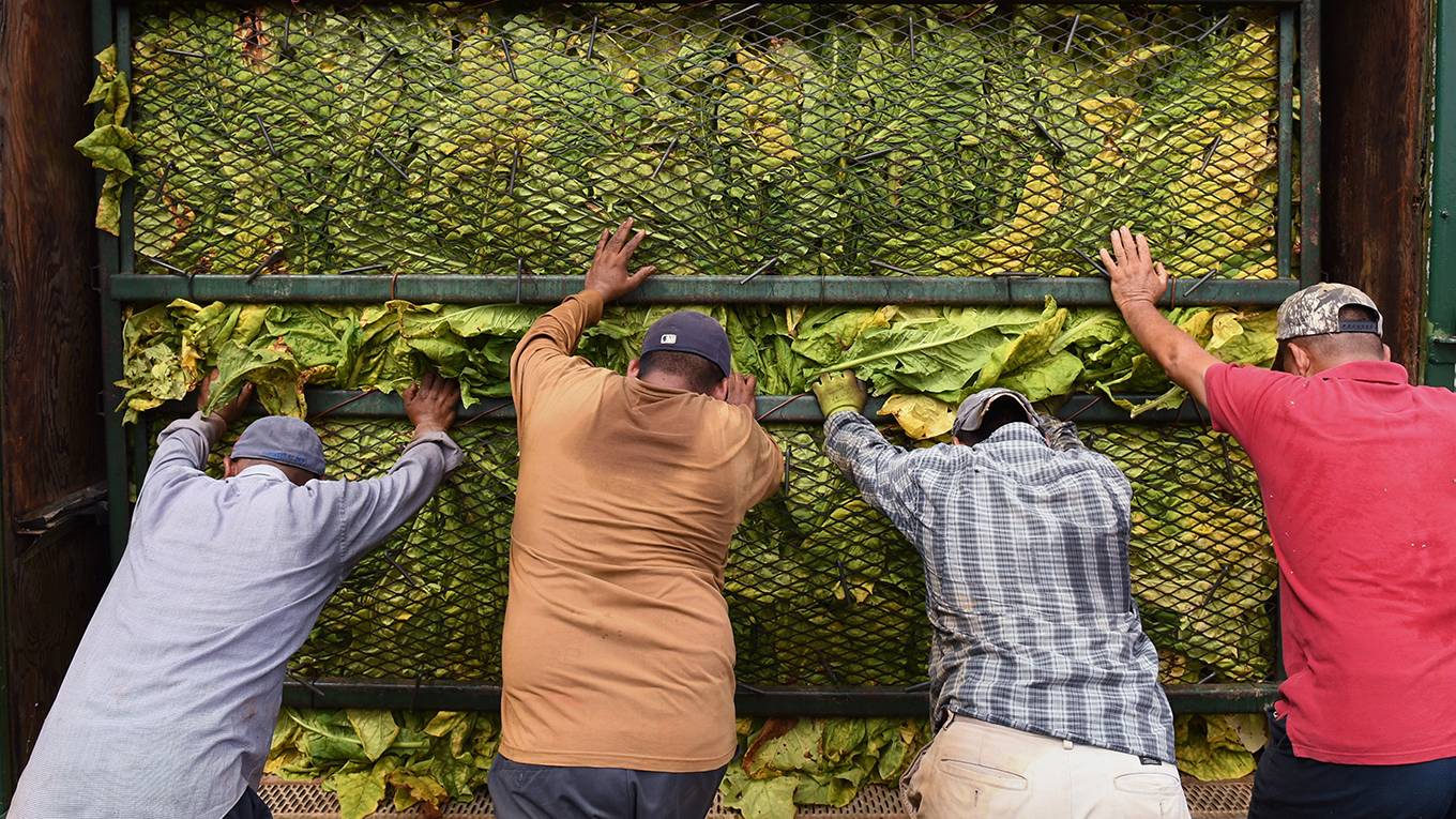 rodrik167_Matt McClainThe Washington Post via Getty Images_farmerstobaccotruck