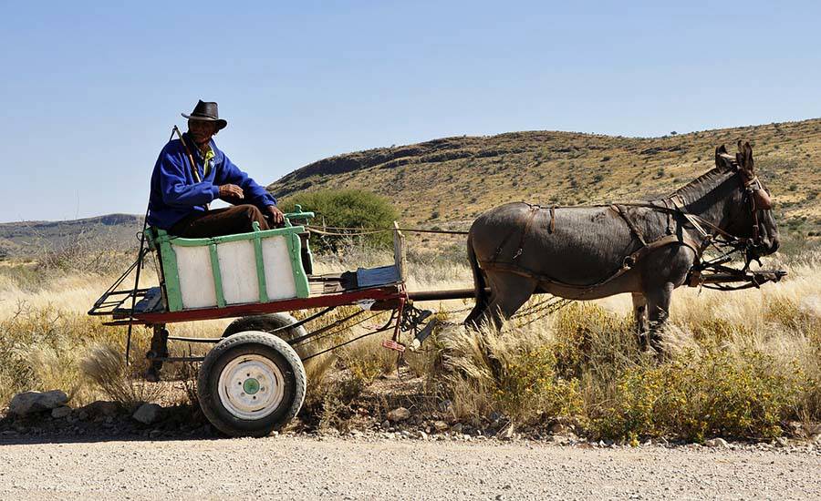 Man in cart pulled by donkey
