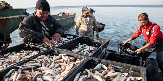 solberg3_Dmitry FeoktistovTASS via Getty Images_oceanfishing