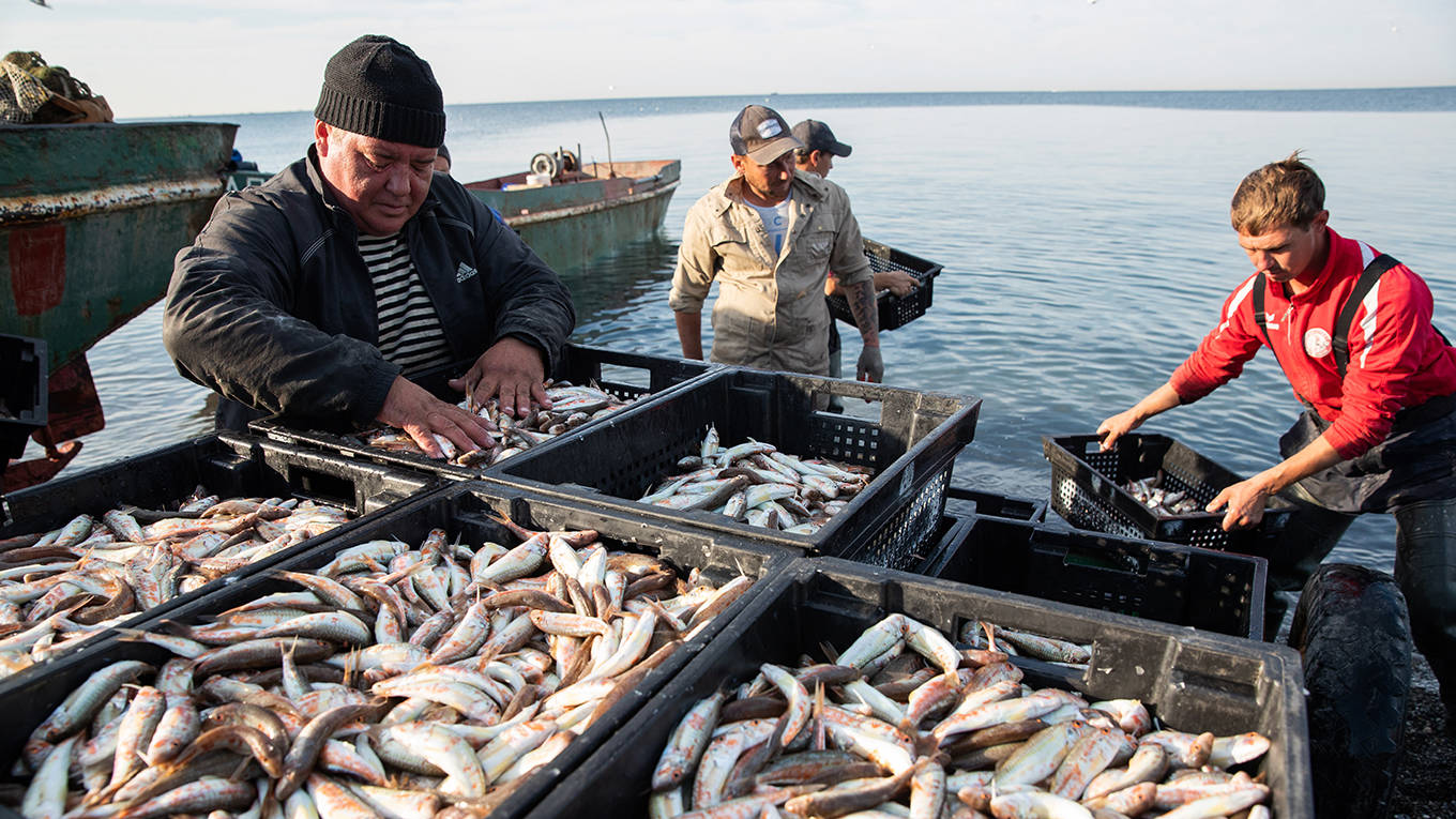 solberg3_Dmitry FeoktistovTASS via Getty Images_oceanfishing